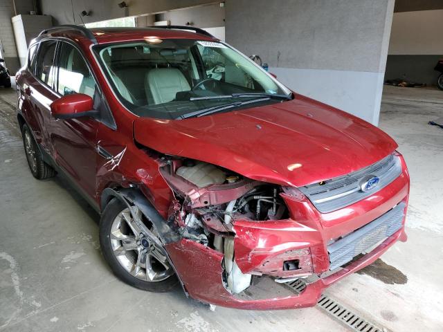 FORD ESCAPE SE 2014 with VIN 1FMCU0G93EUE47925 - Photo from auction