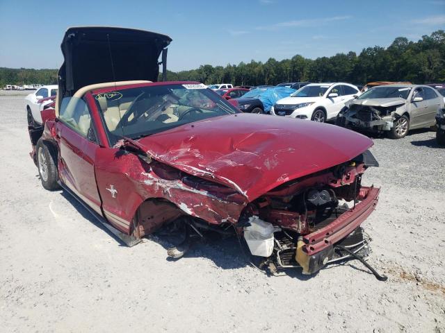 FORD MUSTANG 2005 with VIN 1ZVFT84N355253164 - Photo from auction