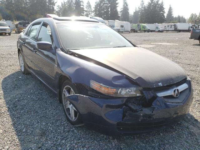 ACURA TL 2005 with VIN 19UUA66255A028941 - Photo from auction