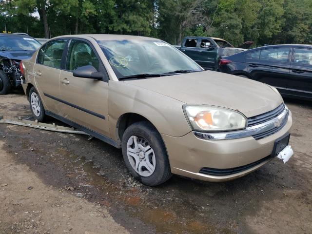 CHEVROLET MALIBU 2004 with VIN 1G1ZS52F54F176005 - Photo from auction
