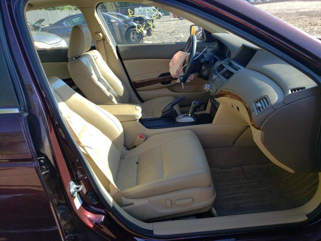 Photo 5 from auction – 2010 HONDA ACCORD EXL with VIN 5KBCP3F85AB007117