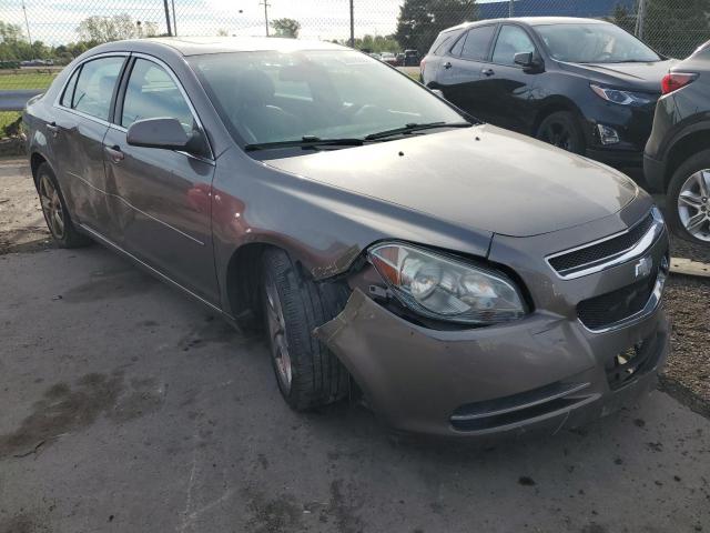 CHEVROLET MALIBU 2LT 2010 with VIN 1G1ZD5EB9A4154275 - Photo from auction