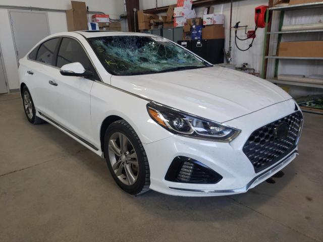 HYUNDAI SONATA LIM 2019 with VIN 5NPE34AF8KH737623 - Photo from auction