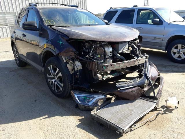 TOYOTA RAV4 LE 2018 with VIN 2T3ZFREV5JW503924 - Photo from auction