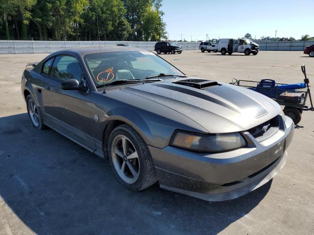 Photo 1 from auction – 2004 FORD MUSTANG MA with VIN 1FAFP42RX4F234681