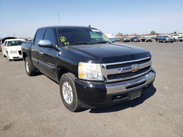 CHEVROLET SILVERADO 2009 with VIN 3GCEC23019G205582 - Photo from auction