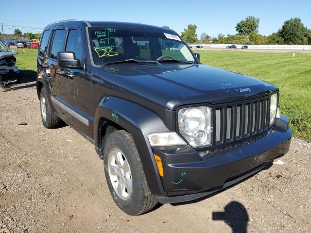 JEEP LIBERTY SP 2011 with VIN 1J4PN2GK6BW583400 - Photo from auction