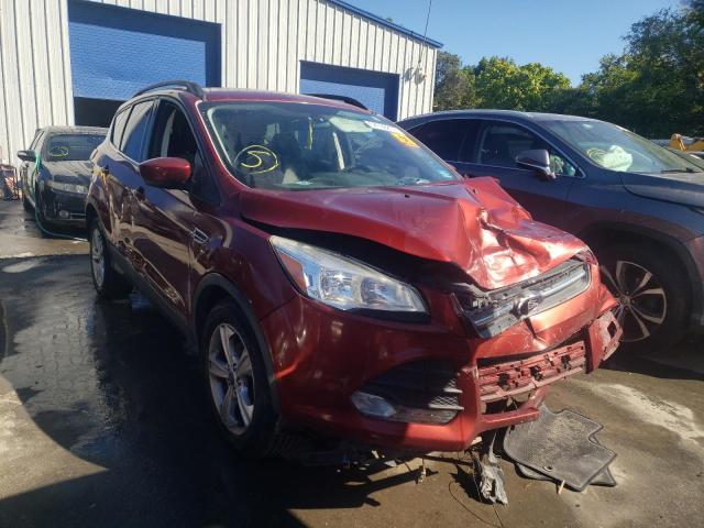 FORD ESCAPE SE 2014 with VIN 1FMCU0GX2EUB37716 - Photo from auction