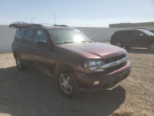 CHEVROLET TRAILBLAZE 2006 with VIN 1GNES16S266152289 - Photo from auction