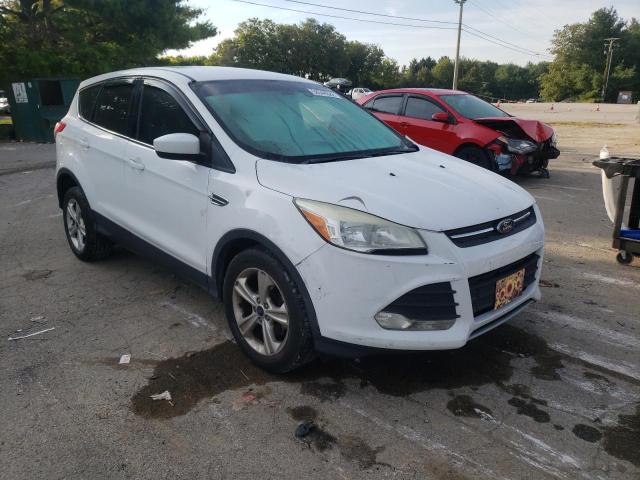 FORD ESCAPE SE 2013 with VIN 1FMCU0GX2DUC04426 - Photo from auction