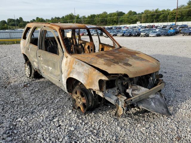 Photo 1 from auction – 2007 FORD ESCAPE XLT with VIN 1FMYU03197KA75382