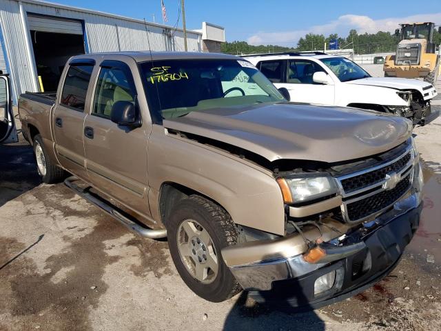 CHEVROLET SILVERADO 2006 with VIN 2GCEC13TX61176804 - Photo from auction