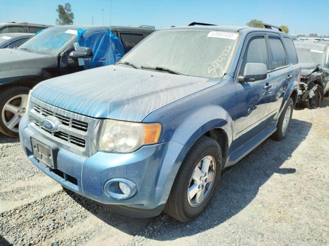 Photo 2 from auction – 2010 FORD ESCAPE XLT with VIN 1FMCU0DG8AKB63814