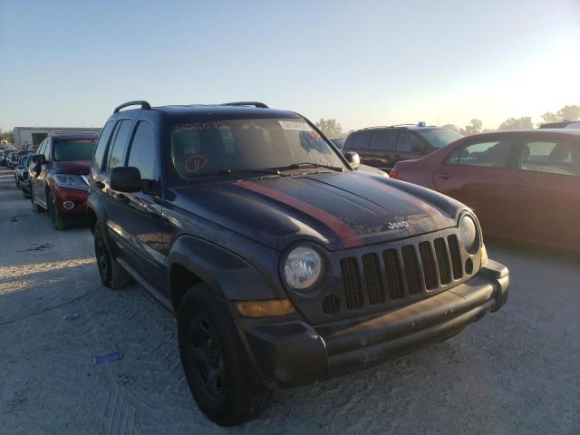 JEEP LIBERTY SP 2006 with VIN 1J4GL48K36W206089 - Photo from auction
