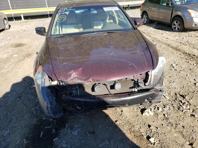 Photo 9 from auction – 2010 HONDA ACCORD EXL with VIN 5KBCP3F85AB007117