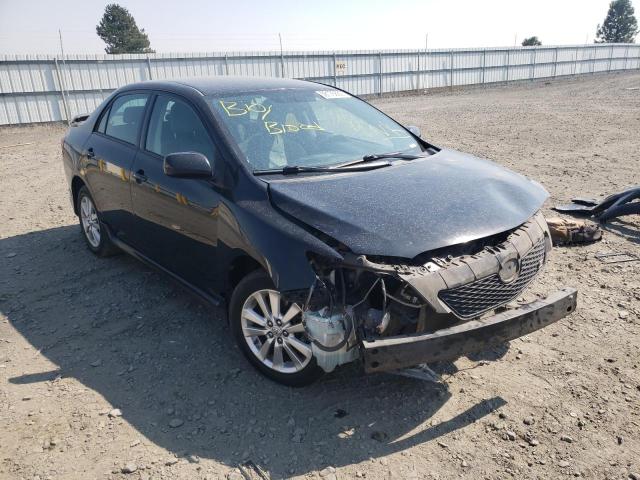 TOYOTA COROLLA BA 2010 with VIN 2T1BU4EE2AC422173 - Photo from auction