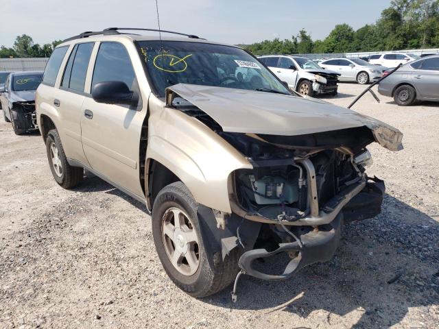 Photo 1 from auction – 2006 CHEVROLET TRAILBLAZE with VIN 1GNDT13S562250141