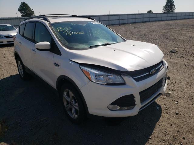 FORD ESCAPE SE 2013 with VIN 1FMCU9G95DUD19656 - Photo from auction