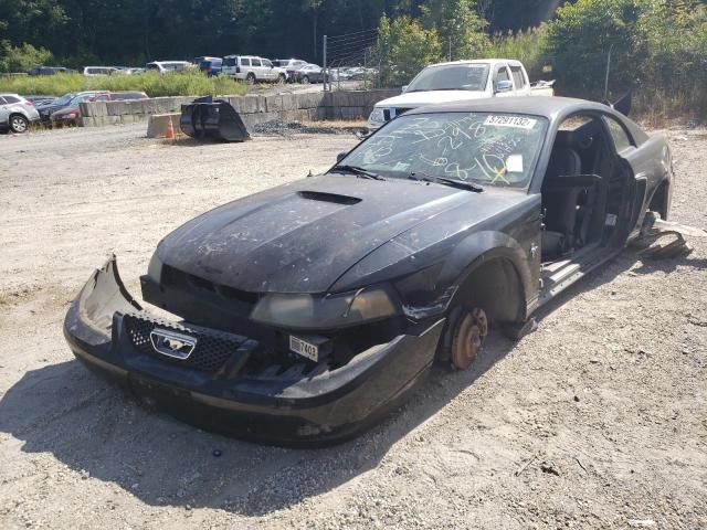 Photo 2 from auction – 2001 FORD MUSTANG with VIN 1FAFP40401F163929