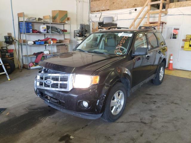 Photo 2 from auction – 2010 FORD ESCAPE XLT with VIN 1FMCU0D71AKB01218