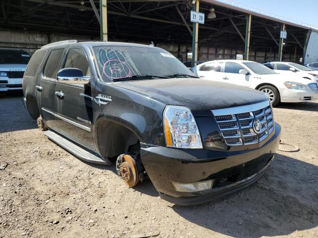 CADILLAC ESCALADE L 2008 with VIN 1GYEC63818R167874 - Photo from auction