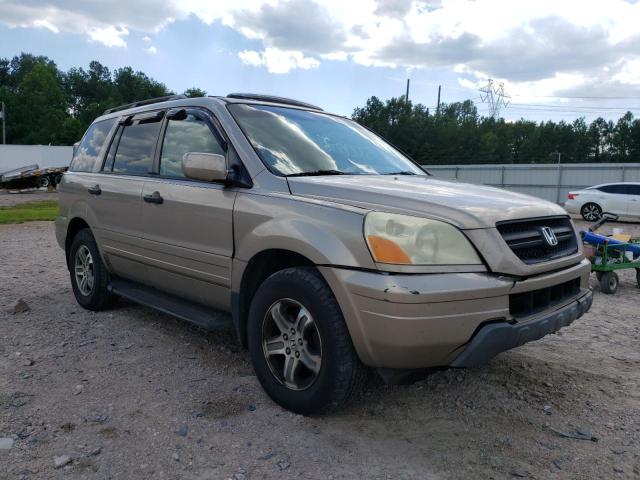 HONDA PILOT EXL 2005 with VIN 5FNYF18635B043868 - Photo from auction