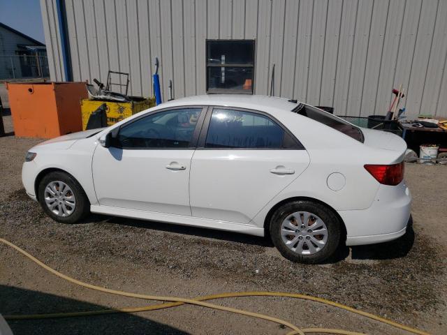 Photo 9 from auction – 2010 KIA FORTE EX with VIN KNAFU4A22A5178712