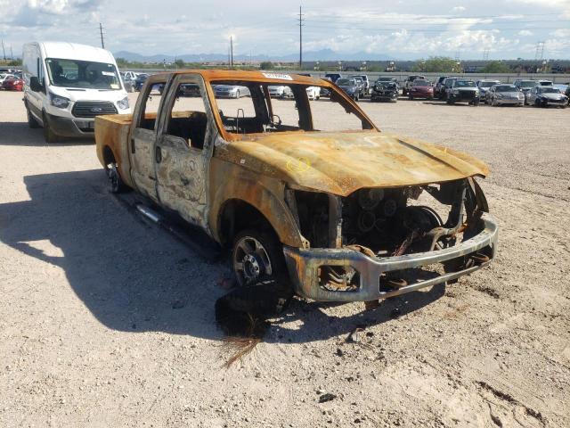 FORD F250 SUPER 2014 with VIN 1FT7W2B69EEA18484 - Photo from auction