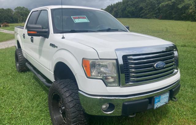 FORD F150 SUPER 2012 with VIN 1FTFW1EF7CFC61669 - Photo from auction