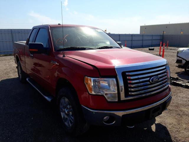 FORD F150 SUPER 2011 with VIN 1FTFX1EF6BKD56436 - Photo from auction