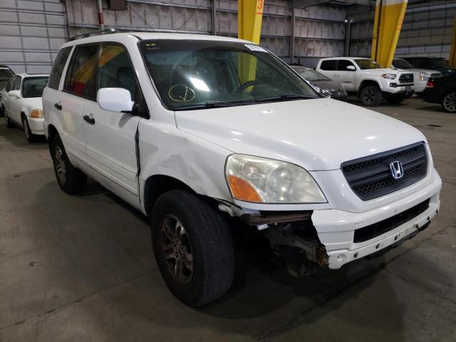 HONDA PILOT EX 2004 with VIN 2HKYF18494H549753 - Photo from auction