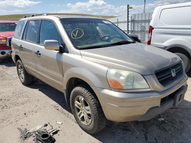 HONDA PILOT EXL 2005 z numerem VIN 5FNYF18575B064374 - Zdjęcie z aukcji