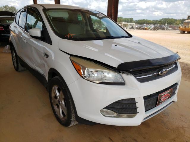 FORD ESCAPE SE 2013 with VIN 1FMCU0GX6DUA30375 - Photo from auction