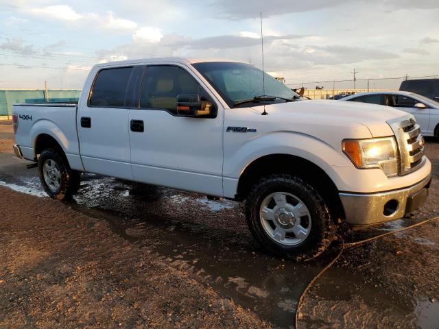 FORD F150 SUPER 2010 with VIN 1FTEW1E88AFD78235 - Photo from auction