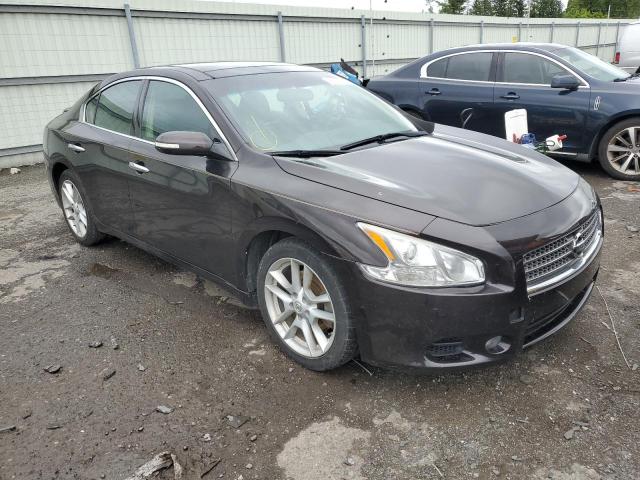 NISSAN MAXIMA S 2010 con VIN 1N4AA5AP4AC847801 - Foto de la subasta