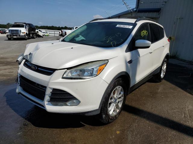 Photo 2 from auction – 2013 FORD ESCAPE SE with VIN 1FMCU0GX7DUB91155