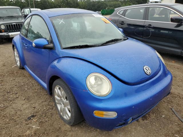 VOLKSWAGEN BEETLE 2003 with VIN 3VWCD21C23M445019 - Photo from auction