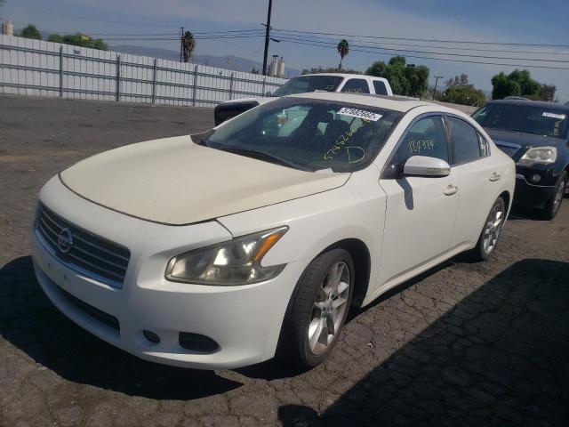 Photo 2 from auction – 2010 NISSAN MAXIMA S with VIN 1N4AA5APXAC849021