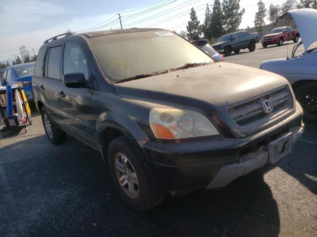 HONDA PILOT EXL 2003 with VIN 2HKYF18503H532900 - Photo from auction