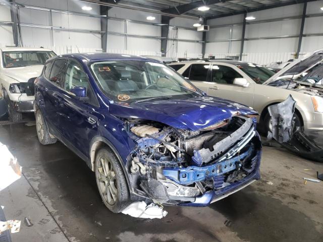 FORD ESCAPE SEL 2013 with VIN 1FMCU0H91DUA54406 - Photo from auction