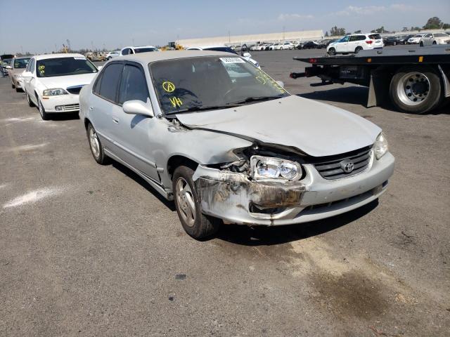 TOYOTA COROLLA CE 2001 with VIN 1NXBR12E31Z553096 - Photo from auction