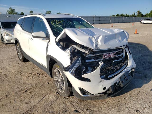 GMC TERRAIN SL 2019 with VIN 3GKALPEV4KL206229 - Photo from auction
