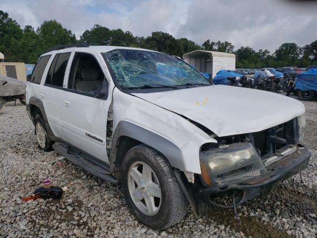 CHEVROLET TRAILBLAZE 2003 with VIN 1GNDS13S232115701 - Photo from auction