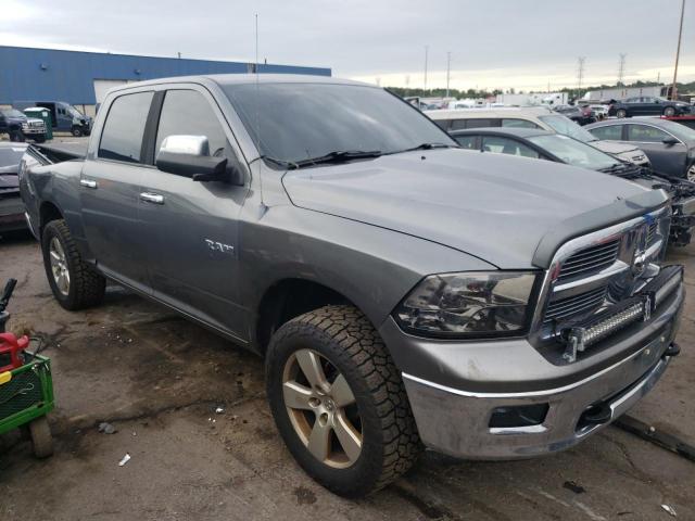 DODGE RAM 1500 2009 with VIN 1D3HV13T69S757896 - Photo from auction