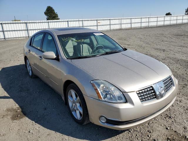 NISSAN MAXIMA SE 2005 with VIN 1N4BA41E65C856938 - Photo from auction