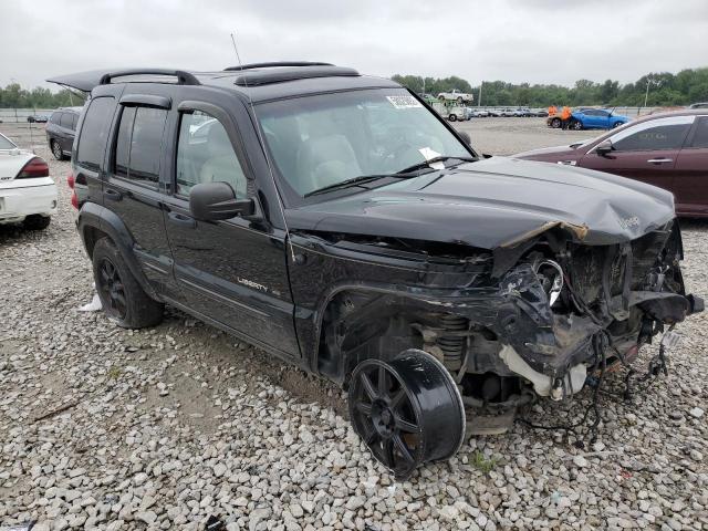 JEEP LIBERTY LI 2002 with VIN 1J8GL58KX2W302431 - Photo from auction