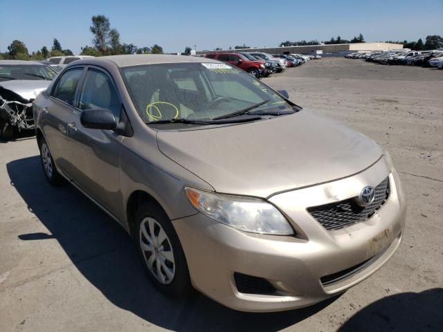 TOYOTA COROLLA BA 2010 with VIN 2T1BU4EE9AC458667 - Photo from auction
