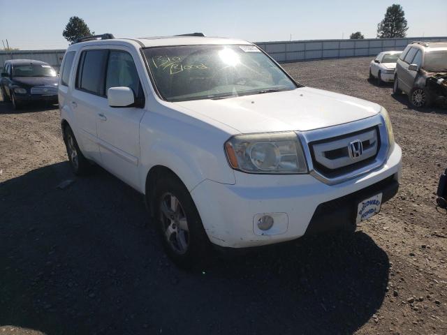 HONDA PILOT EXL 2009 with VIN 5FNYF48569B030028 - Photo from auction