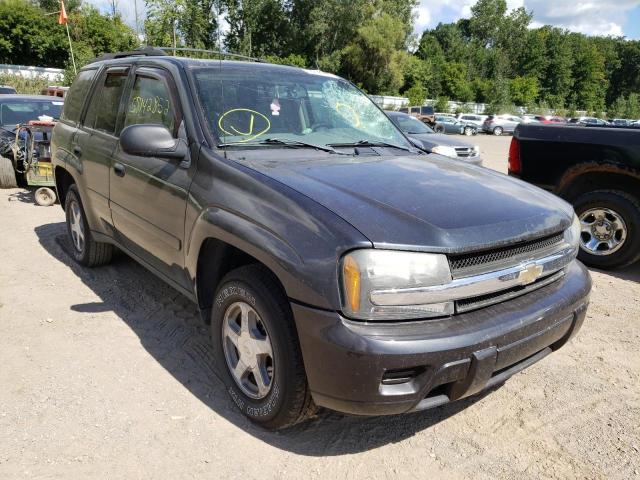 CHEVROLET TRAILBLAZE 2006 with VIN 1GNDT13S962246416 - Photo from auction