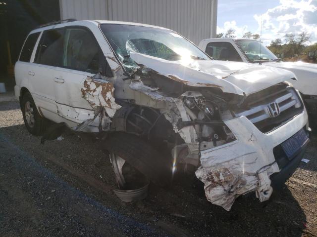 HONDA PILOT EXL 2007 with VIN 5FNYF28547B044298 - Photo from auction